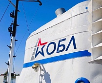 Bars returned to the Volga