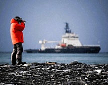 "Into the Arctic": a true film about polar latitudes