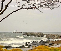 Ноябрь: снова рост