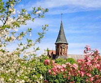 Transportation in April