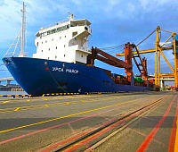 The course of import substitution