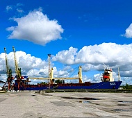 Sparta and Ambal passed inspection.