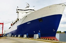 Container growth in September